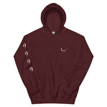 Load image into Gallery viewer, Paradisa - Still out there - Hoodie