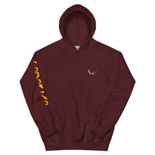 Load image into Gallery viewer, Paradisa - Walk or Ride - Hoodie