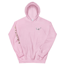 Load image into Gallery viewer, Paradisa Wakeboard, Surf and Skate clothes straight from heaven Hoodie Wakeboarding