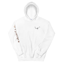 Load image into Gallery viewer, Paradisa Wakeboard, Surf and Skate clothes straight from heaven Hoodie Wakeboarding