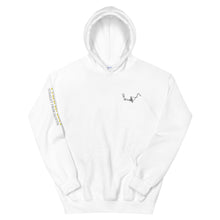 Load image into Gallery viewer, Paradisa Wakeboard, Surf and Skate clothes straight from heaven Hoodie Wakeboarding