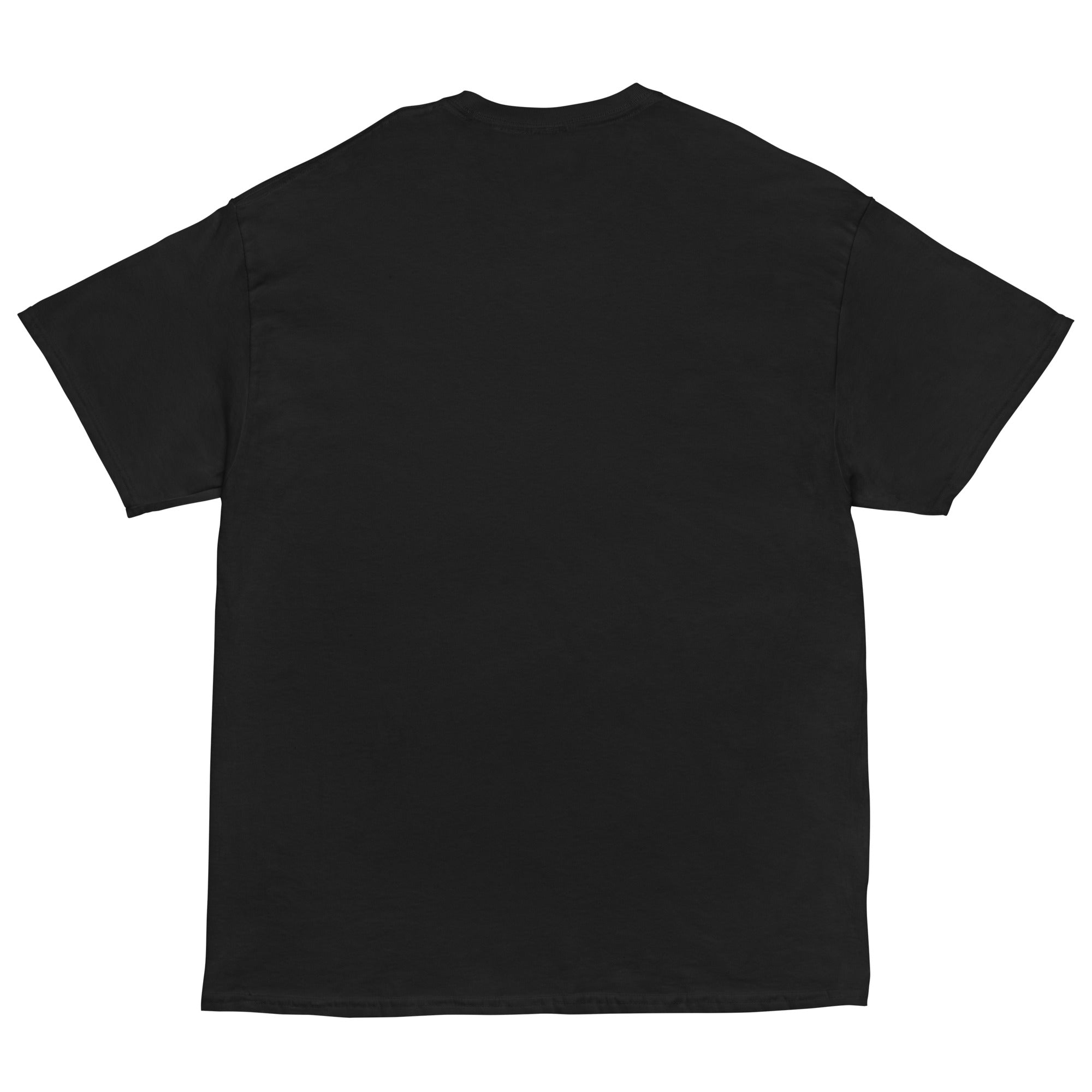 Paradisa - Fallen Angel - Tee shirt by Paradisa